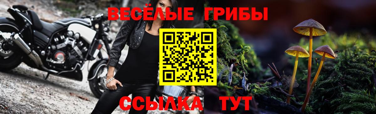 Галлюциногенные грибы ЛСД  Псилоцибиновые грибы мухоморы  Вход с VPN  Георгиевск 